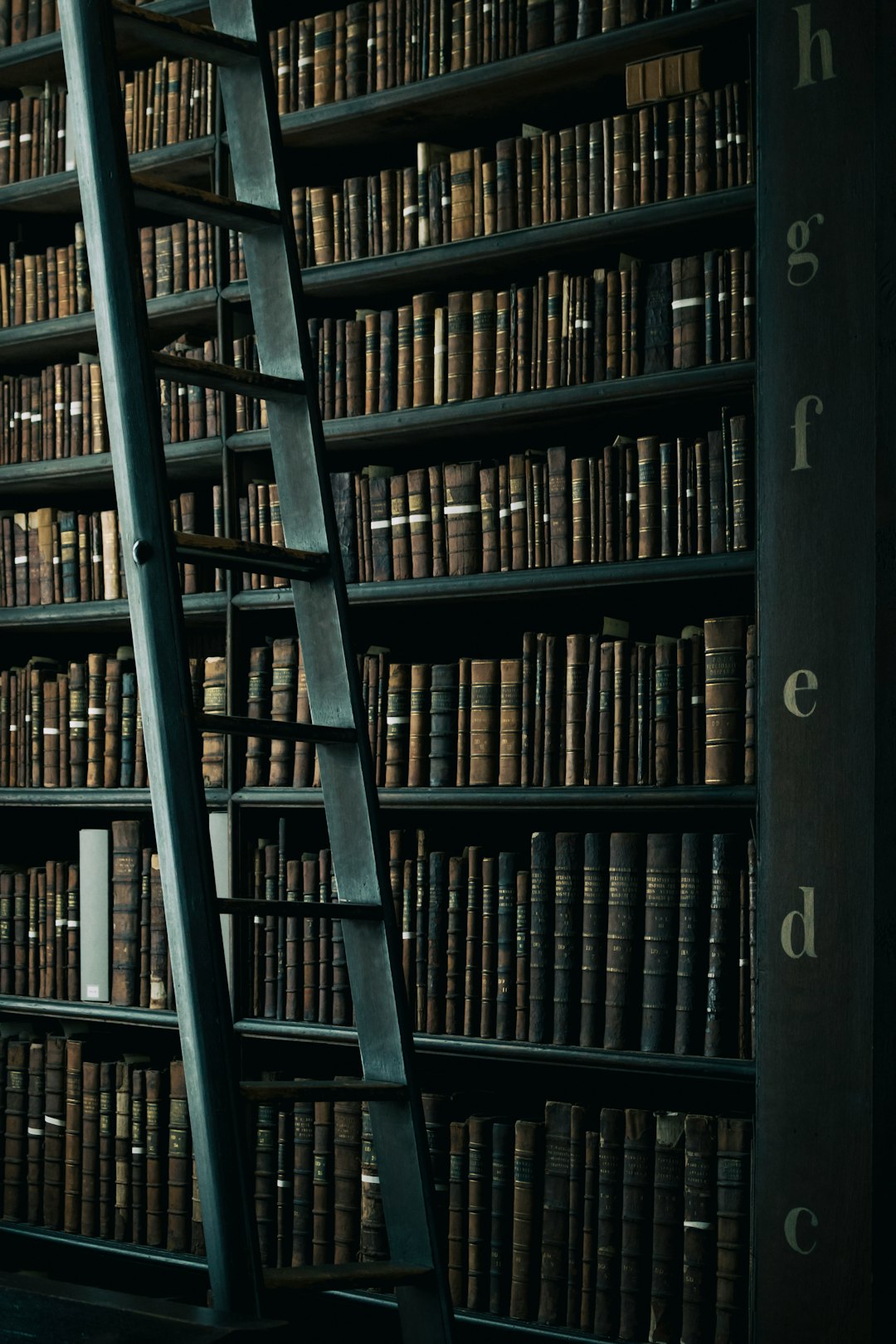library shelf near black wooden ladder library shelf near black wooden ladder