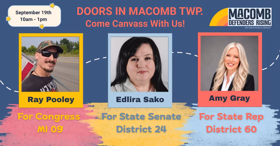 Doors in Macomb Twp: Canvass for Amy Gray, Edlira Sako & Ray Pooley